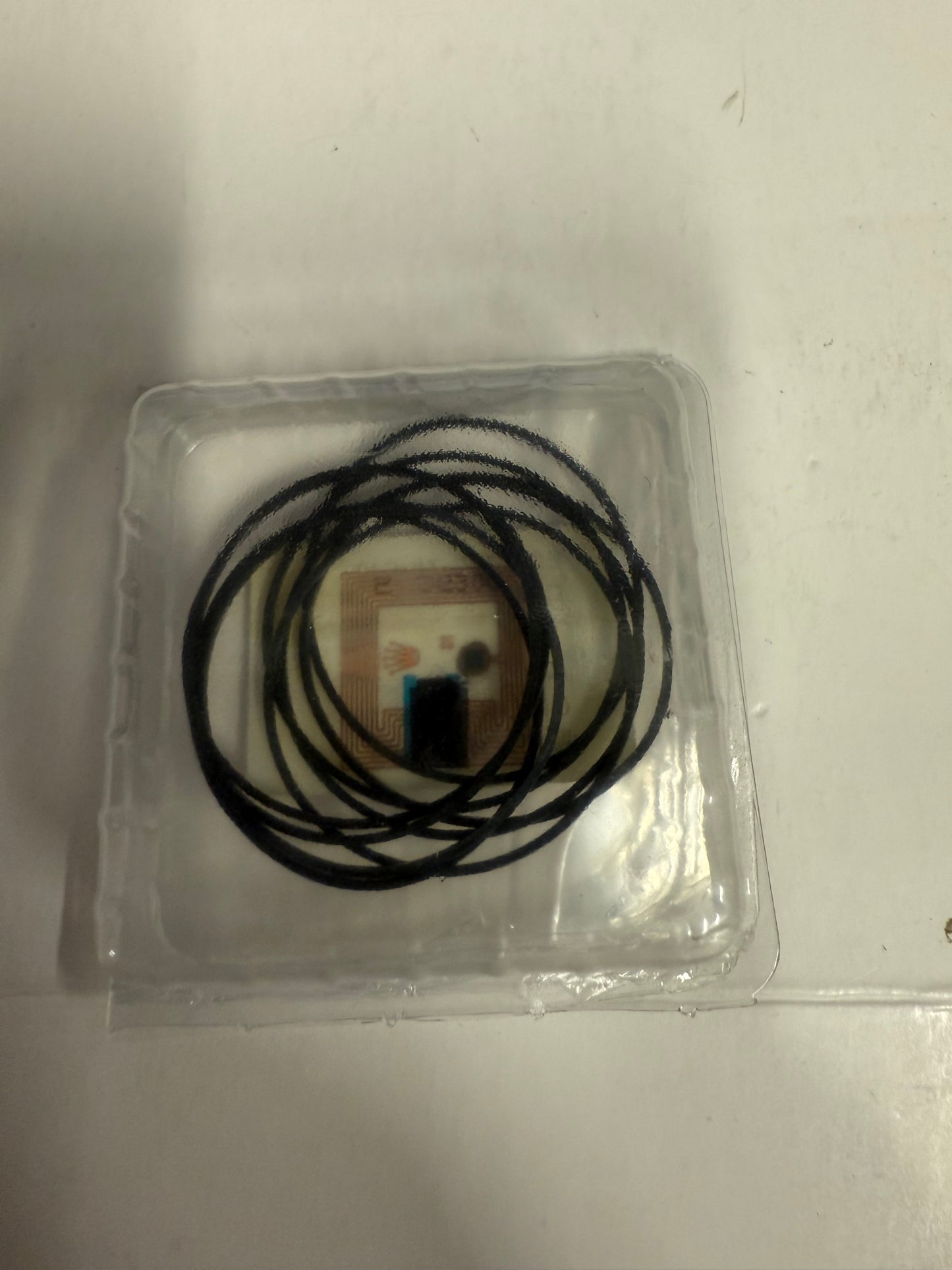 Gasket Rubber 29-270-75-c10