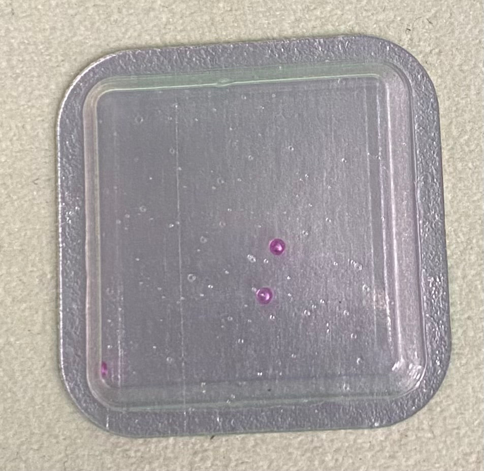 Rolex Caliber 1120 Part #6608 Jewel for 3rd Wheel Lower