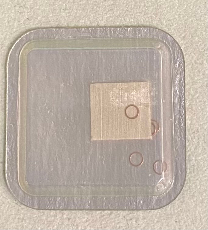 Rolex Caliber 1100 Part #6759-1 Ring Lower