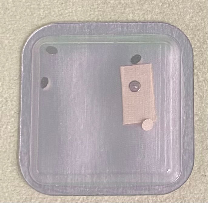 Rolex Caliber 1525 Part #7958 Screw For Date Indicator Seating