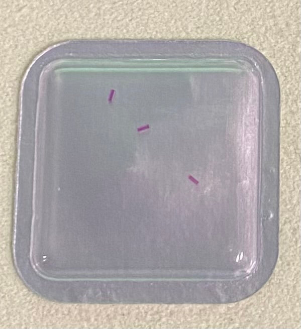 Rolex Caliber 1530 Part #7848 Empty Pallet