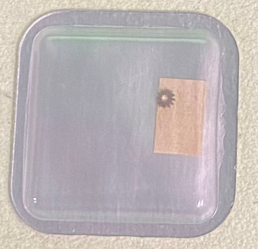 Rolex Caliber 1530 Part #7910 Pinion (For Oscillating Weight)