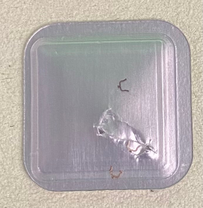 Rolex Caliber 1530 Part #7938 Spring (Upper,Lower)