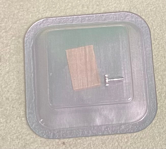 Rolex Caliber 1575GMT Part #8037 Cannon Pinion 3.39mm