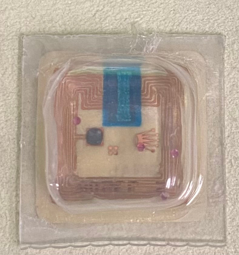 Rolex Caliber 2030 Part #4493 Cap Jewel Upper & Lower