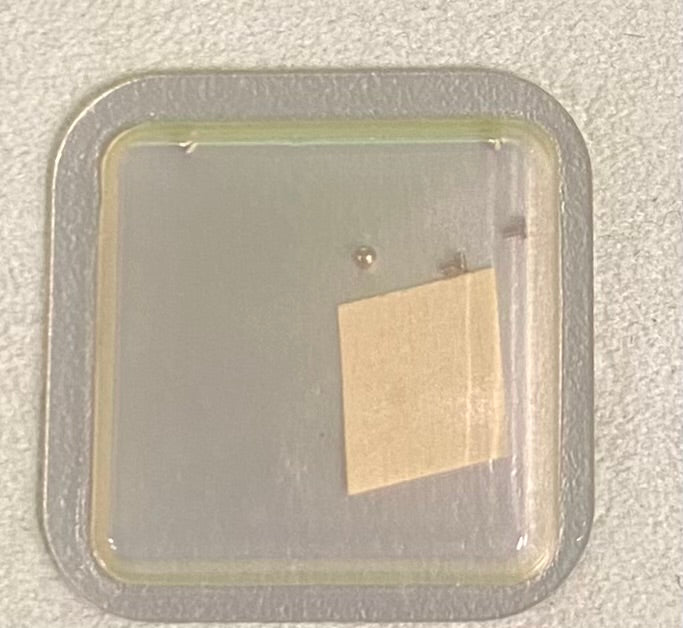 Rolex Caliber 2030 Part #54459 Screw (Plate for Balance Spring Stop)