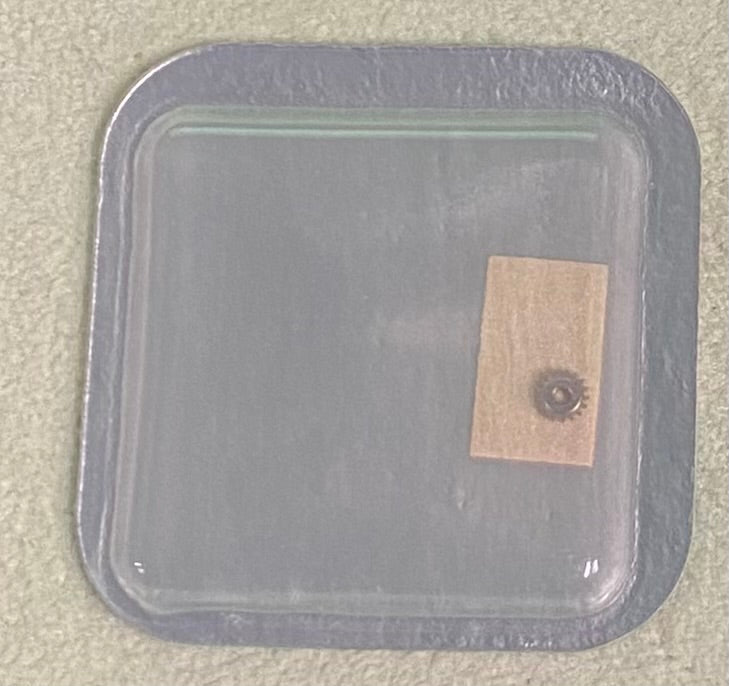 Rolex Caliber 2130 Part #204 Wind Pinion