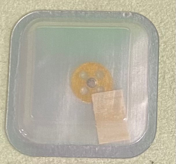 Rolex Caliber 2130 Part #510 Drive Wheel For Ratchet Wheel