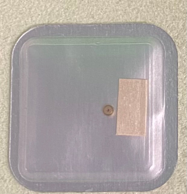 Rolex Caliber 2130 Part #0916 Shock Absorber Balance-Lower