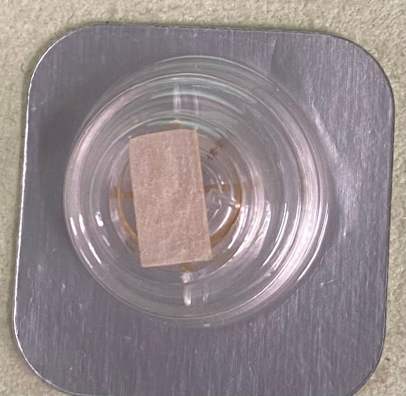 Rolex Caliber 2230 Part #432 Balance w/ Timed Breguet Hairspring