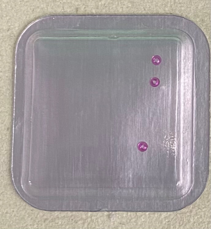 Rolex Caliber 2230 Part #9311 Jewel Barrel-Lower