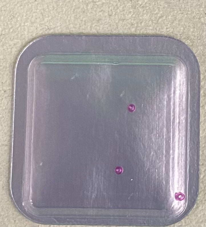 Rolex Caliber 2230 Part #9331 Jewel (Great Wheel Upper & Lower)
