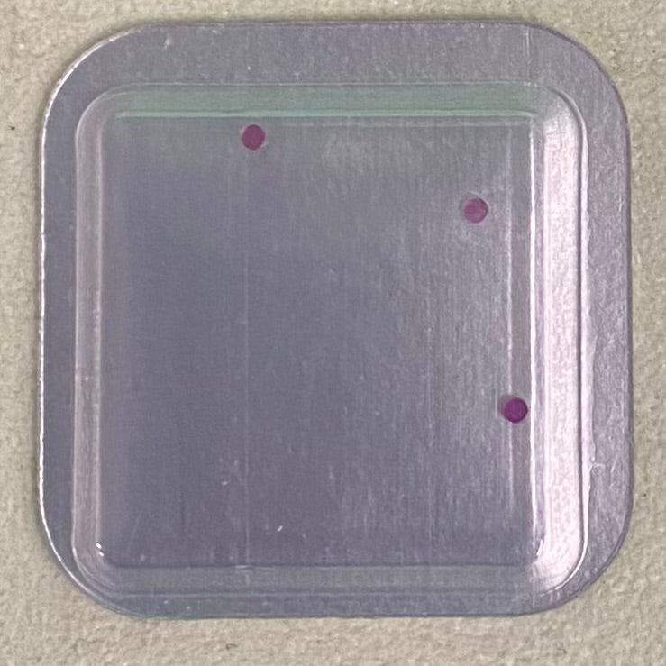 Rolex Caliber 2235 Part #9100 Support Jewel (Date Indicator) 0.50mm