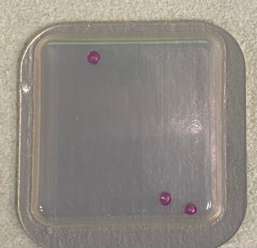 Rolex Caliber 3035 Part #95012 Jewel, Great Wheel
