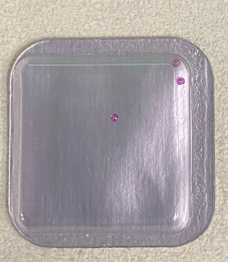 Rolex Caliber 3035 Part #95016 Pallet Jewel