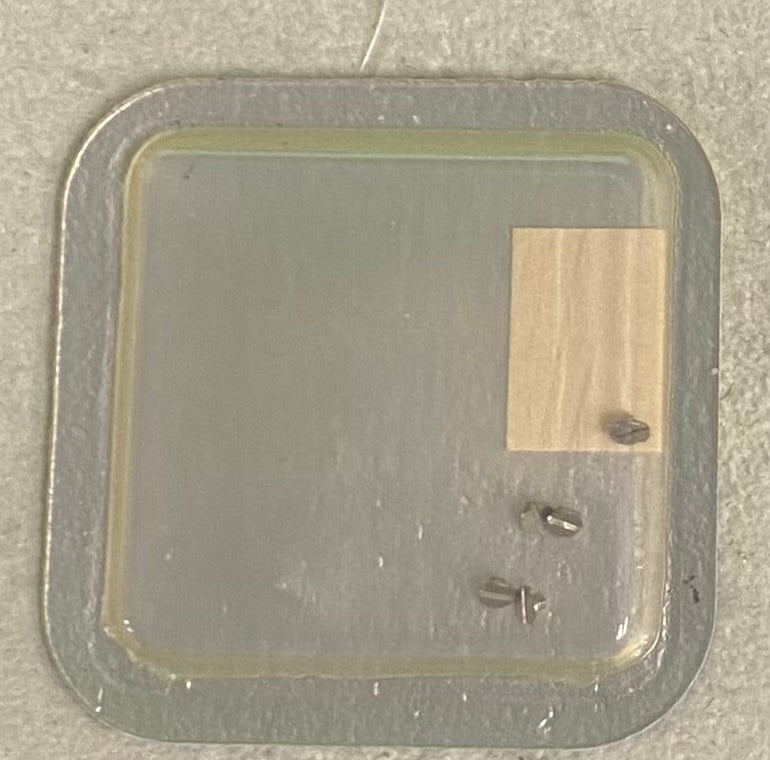 Rolex Caliber 4030 Part #5300 Screw For Click