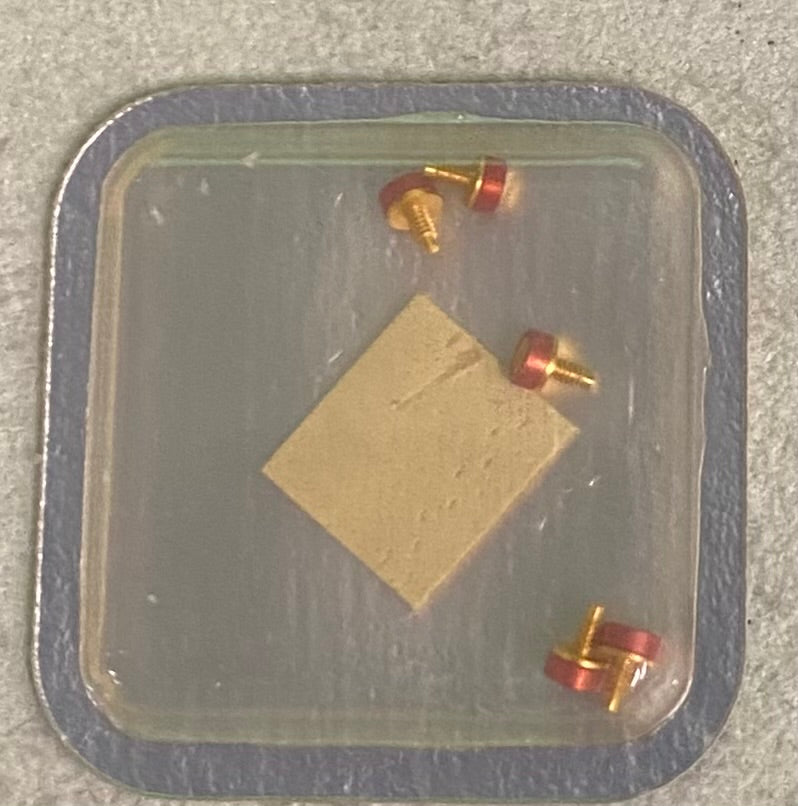 Rolex Caliber 5035 Part #56011-3 Screw For Motor