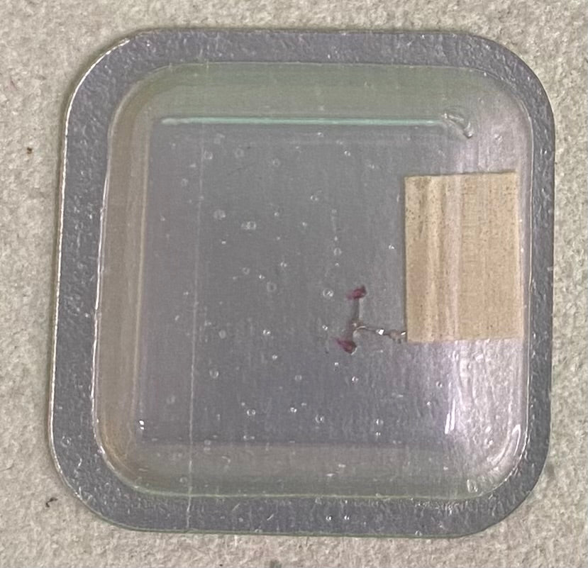 Rolex Caliber 651 Part #855 Pallet Fork