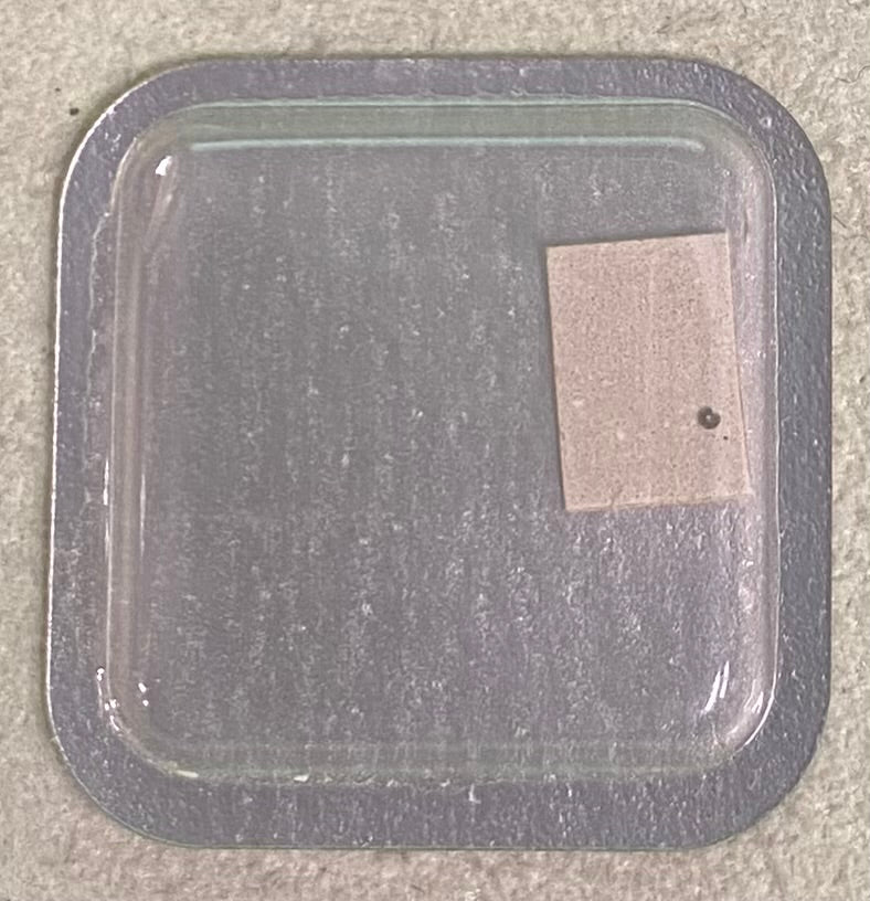 Rolex Caliber 651 Part #860 Roller