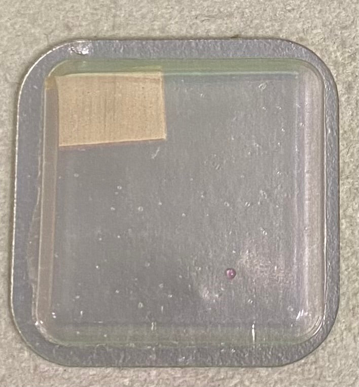 Rolex Caliber 651 Part #9858-3 Insetting Lower