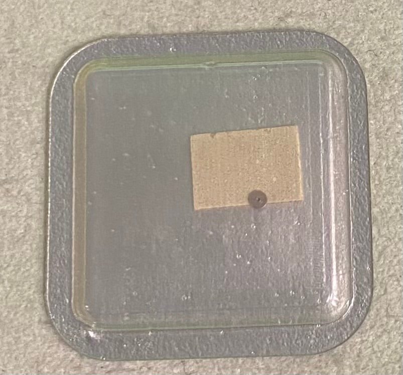 Rolex Caliber 651 Part #9858-1 Shock For Balance Lower