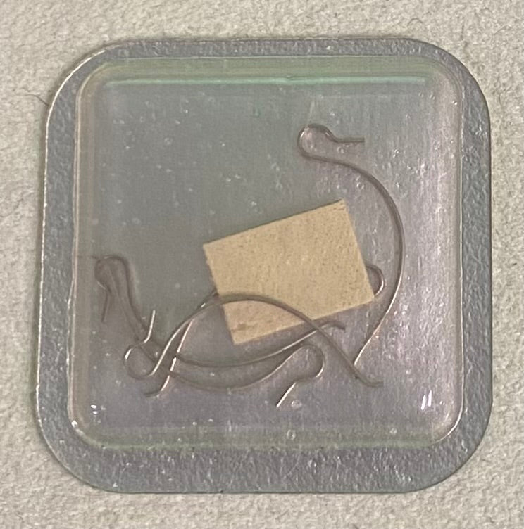 Rolex Caliber 13"72 A Part #8720A Conveyor Spring