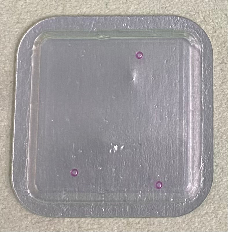 Rolex Caliber 650 Part #9809-1 Jewel For Center Wheel Lower