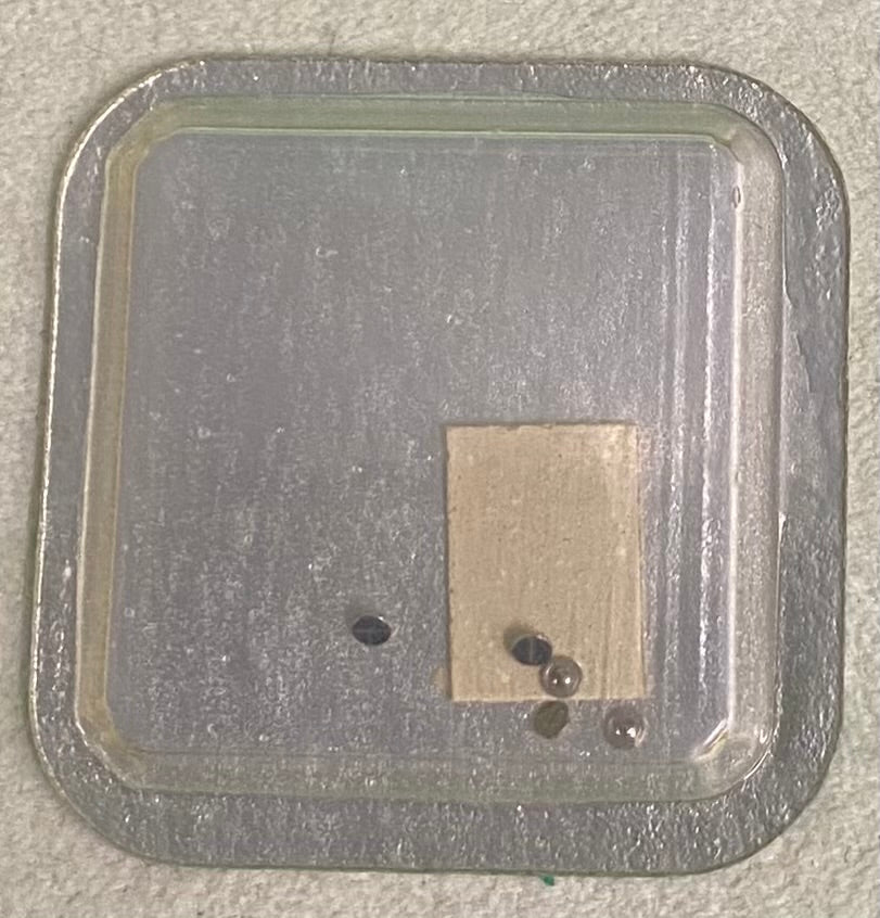 Rolex Caliber 650 Part #5834 Screw For Click