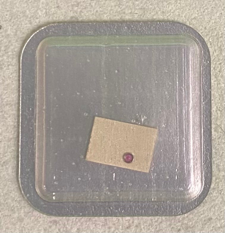 Rolex Caliber 750 Part #9930-1 In-Setting Upper