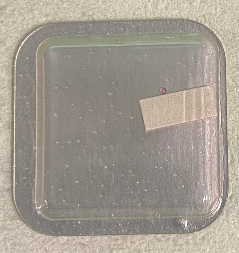 Rolex Caliber 750 Part #9931-1 In-Setting Lower