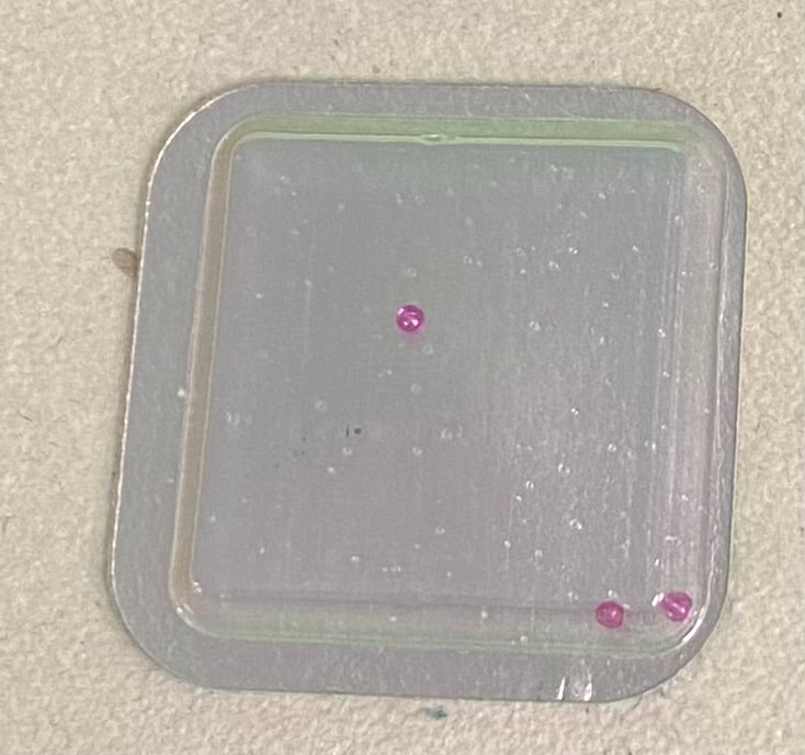 Rolex Caliber 1530 Part #7833 Jewel (Lower Third Wheel)