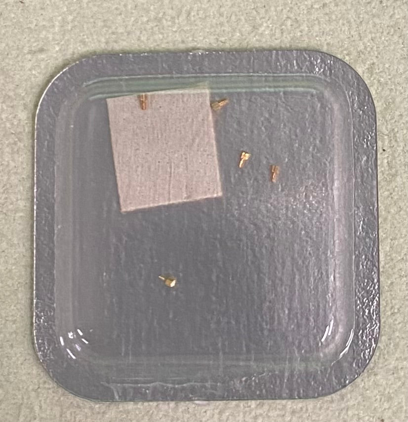 Rolex Caliber 3035 Part #55019-1 Screw, Microstella, High