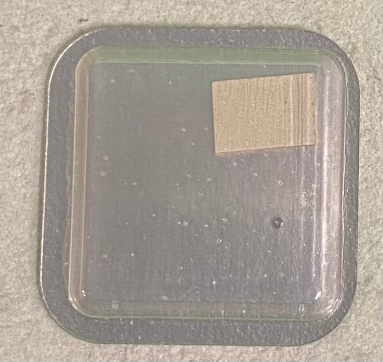 Rolex Caliber 750 Part #933 Roller